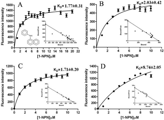 Int J Biol Sci Image