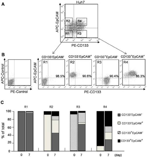 Int J Biol Sci Image