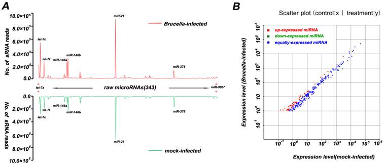 Int J Biol Sci Image