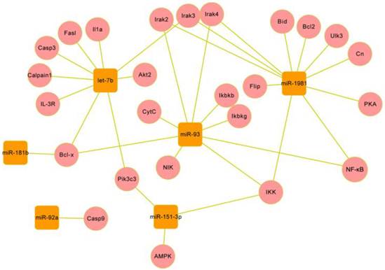 Int J Biol Sci Image