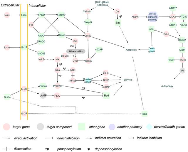 Int J Biol Sci Image