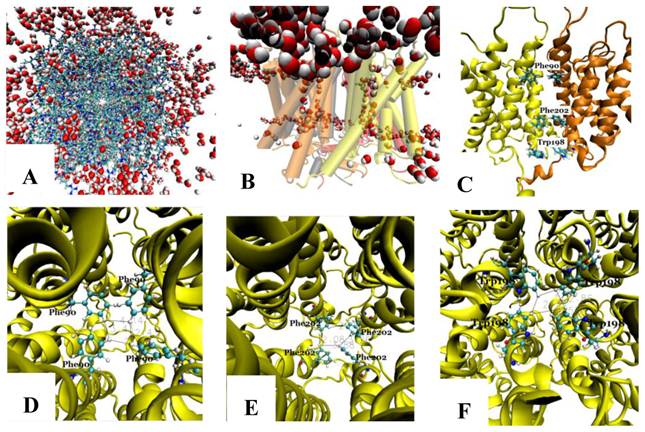 Int J Biol Sci Image