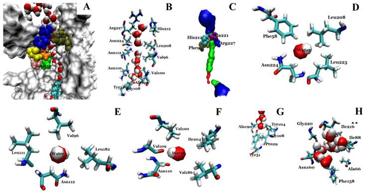 Int J Biol Sci Image