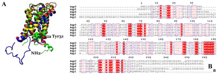 Int J Biol Sci Image