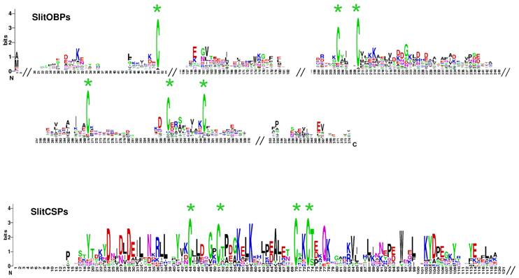 Int J Biol Sci Image