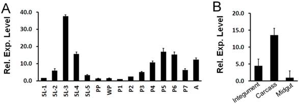 Int J Biol Sci Image