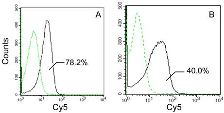 Int J Biol Sci Image