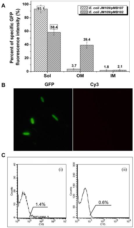 Int J Biol Sci Image