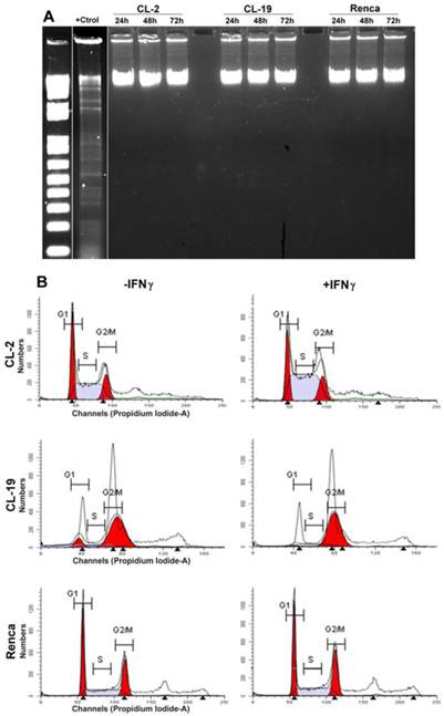 Int J Biol Sci Image