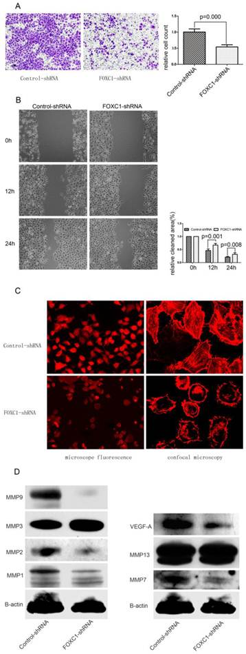 Int J Biol Sci Image