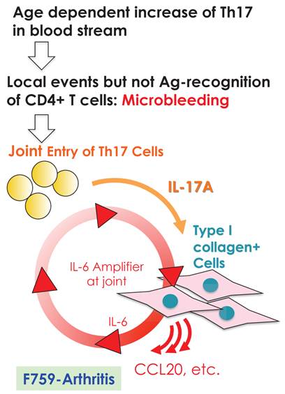 Int J Biol Sci Image