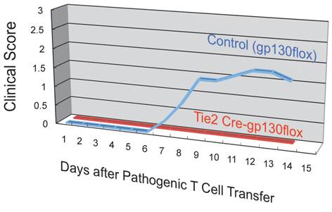 Int J Biol Sci Image