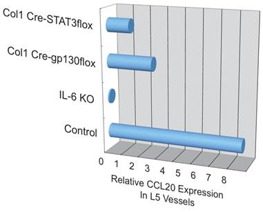 Int J Biol Sci Image