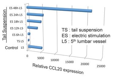 Int J Biol Sci Image