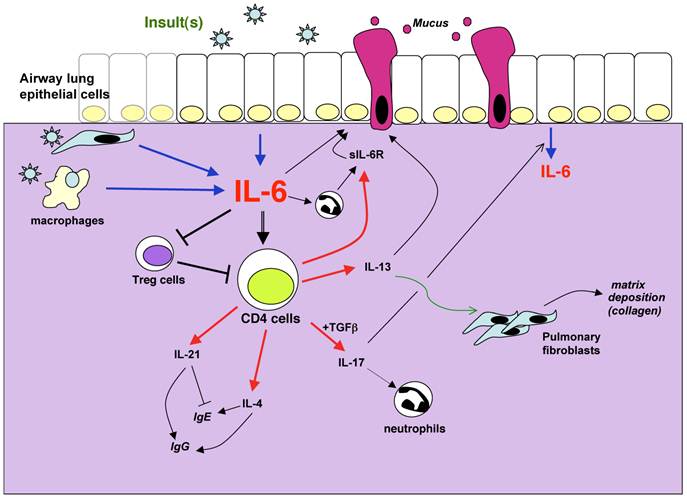 Int J Biol Sci Image