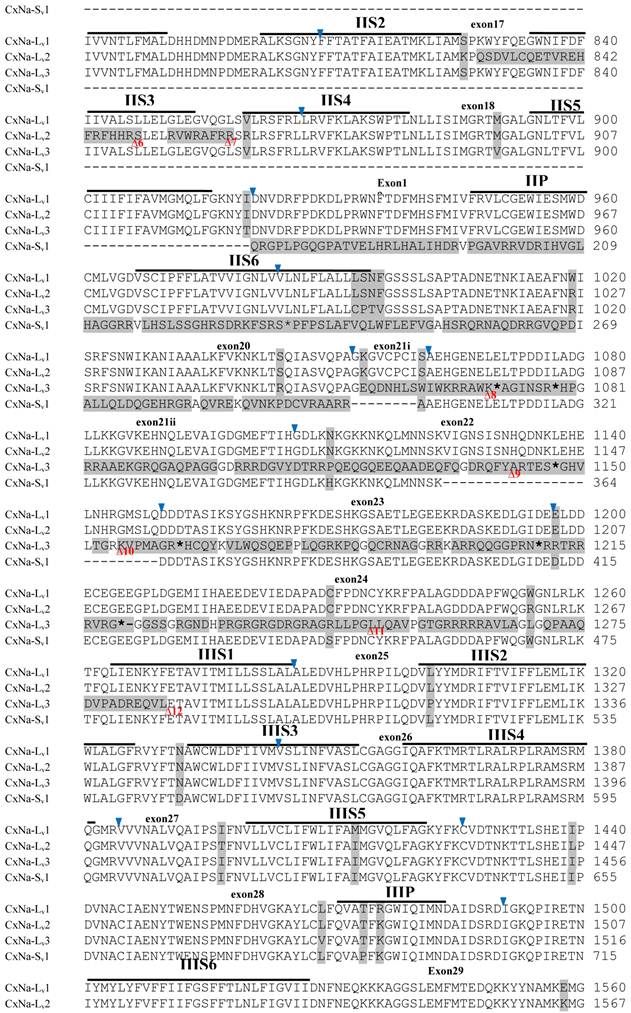 Int J Biol Sci Image