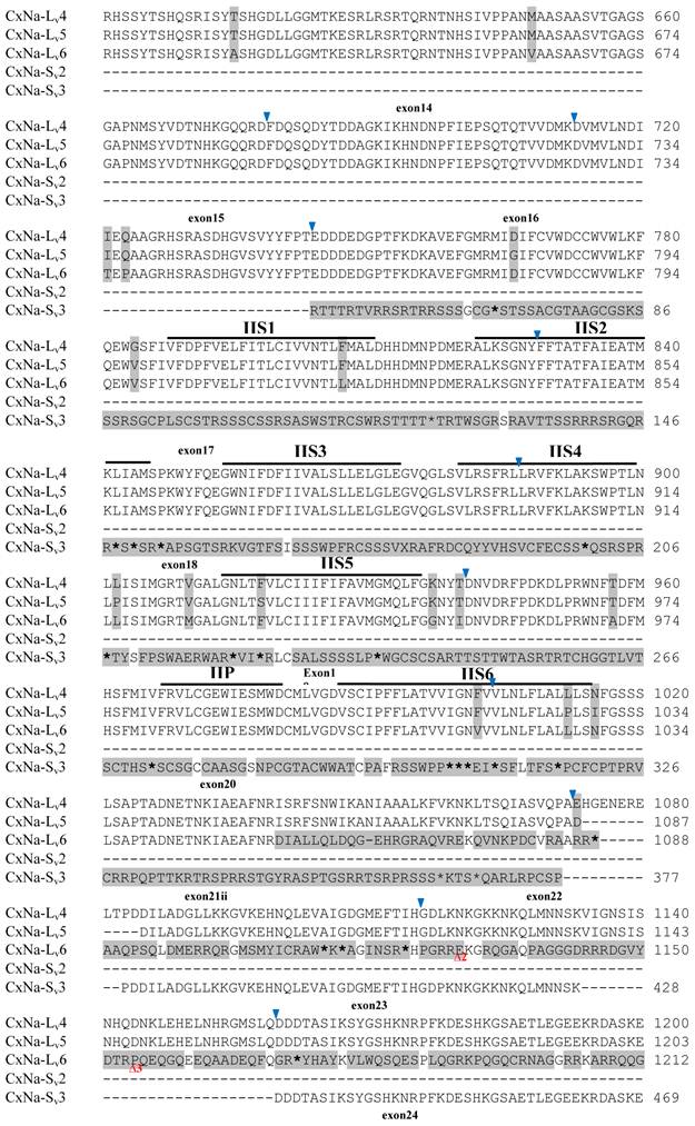 Int J Biol Sci Image