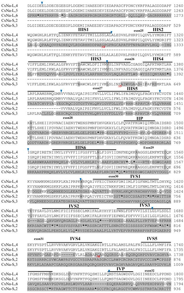 Int J Biol Sci Image