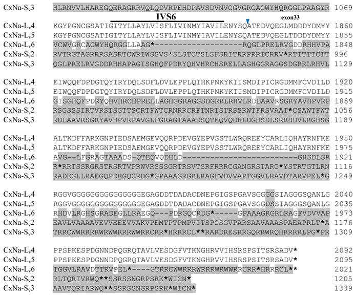 Int J Biol Sci Image