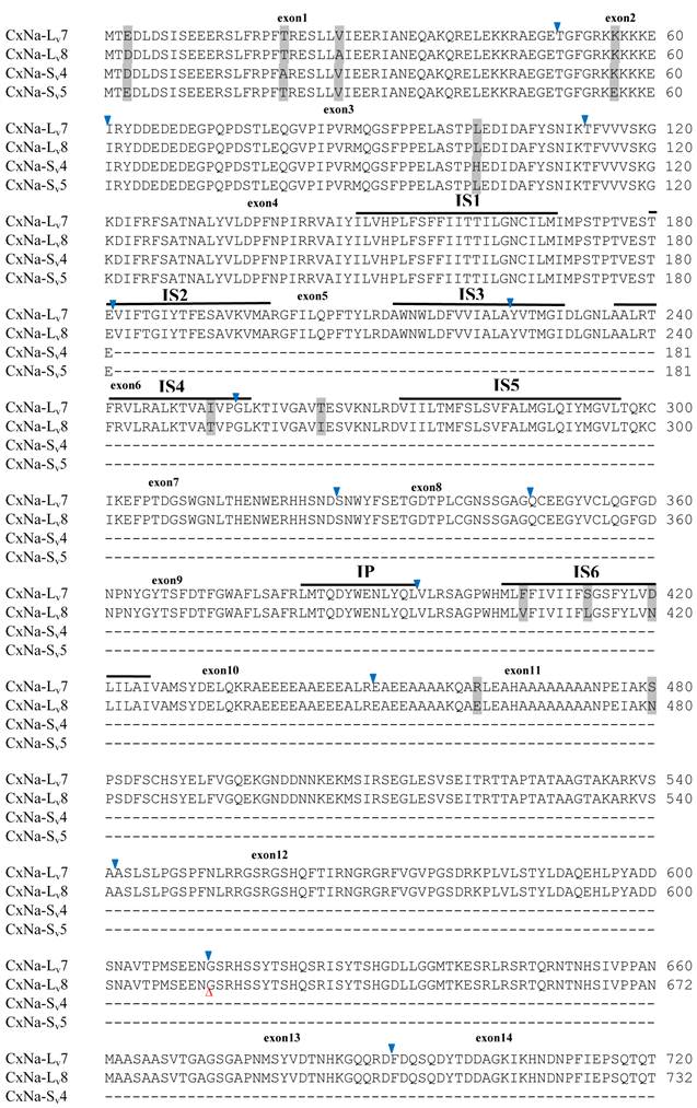 Int J Biol Sci Image