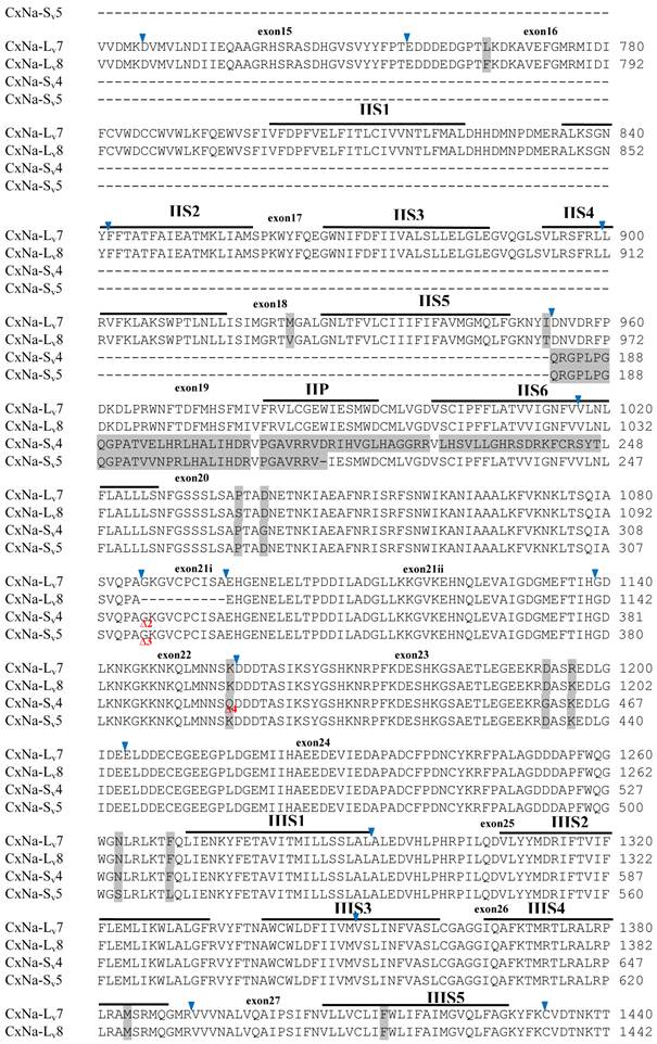 Int J Biol Sci Image