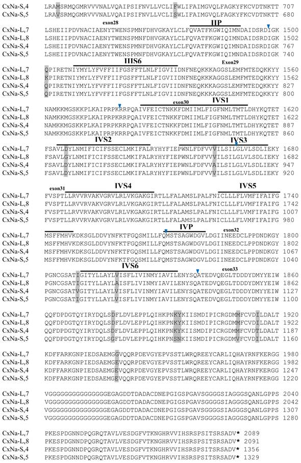 Int J Biol Sci Image