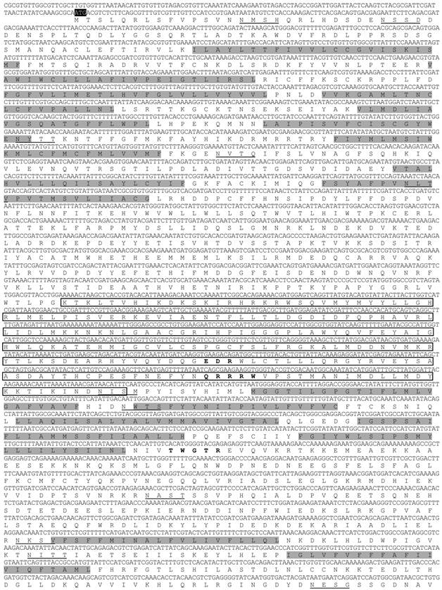 Int J Biol Sci Image