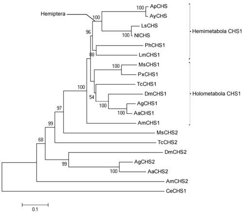 Int J Biol Sci Image