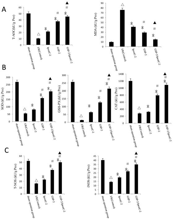 Int J Biol Sci Image