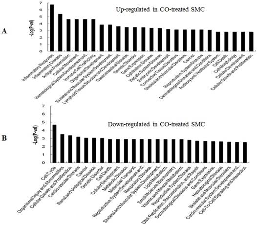 Int J Biol Sci Image