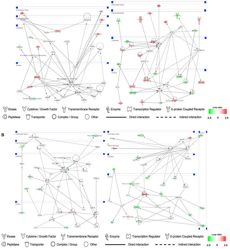 Int J Biol Sci Image