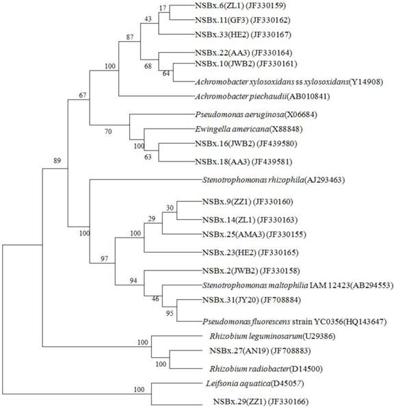 Int J Biol Sci Image