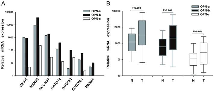 Int J Biol Sci Image