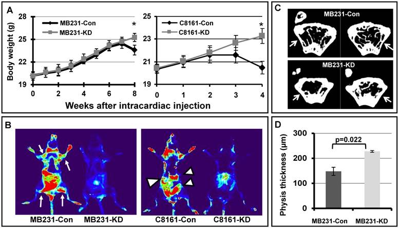 Int J Biol Sci Image