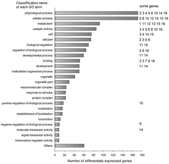 Int J Biol Sci Image