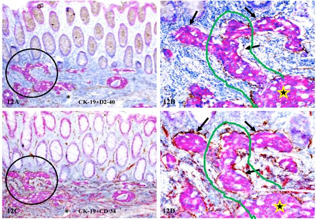 Int J Biol Sci Image