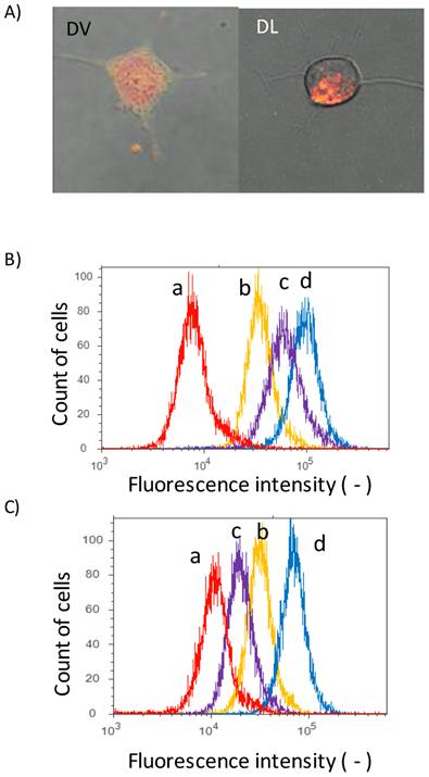 Int J Biol Sci Image