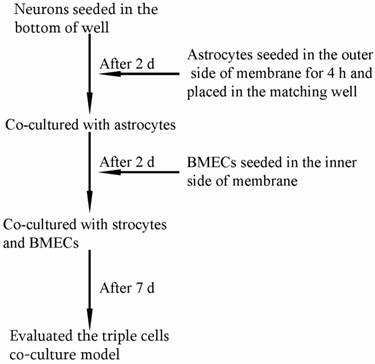 Int J Biol Sci Image