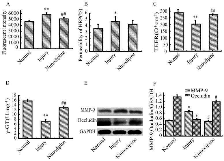 Int J Biol Sci Image