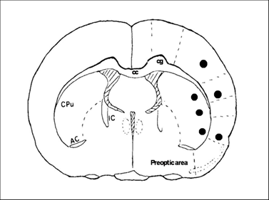 Int J Biol Sci Image