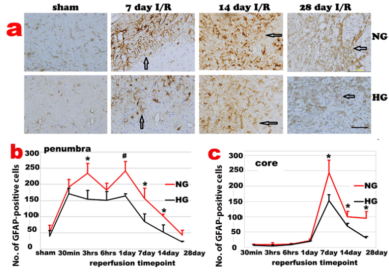 Int J Biol Sci Image