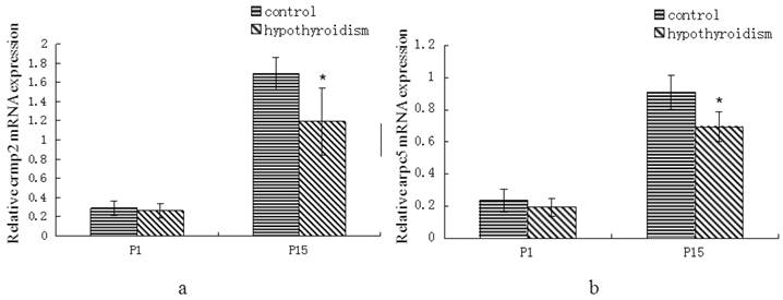 Int J Biol Sci Image