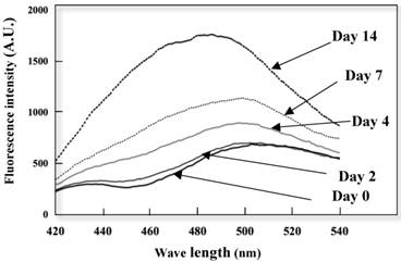 Int J Biol Sci Image