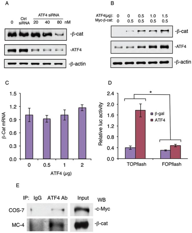 Int J Biol Sci Image