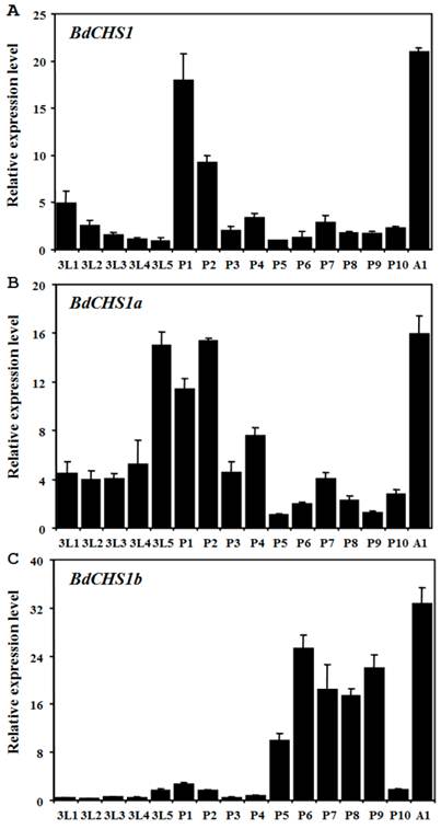 Int J Biol Sci Image