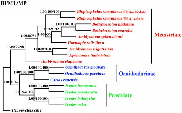 Int J Biol Sci Image