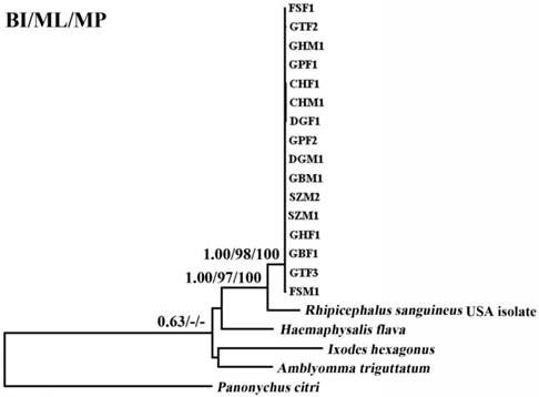 Int J Biol Sci Image