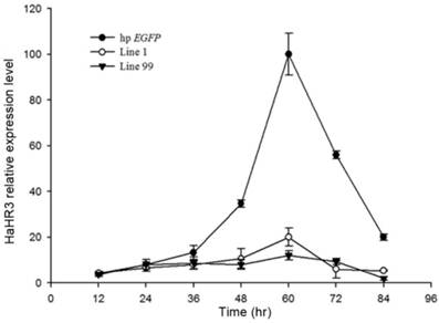 Int J Biol Sci Image