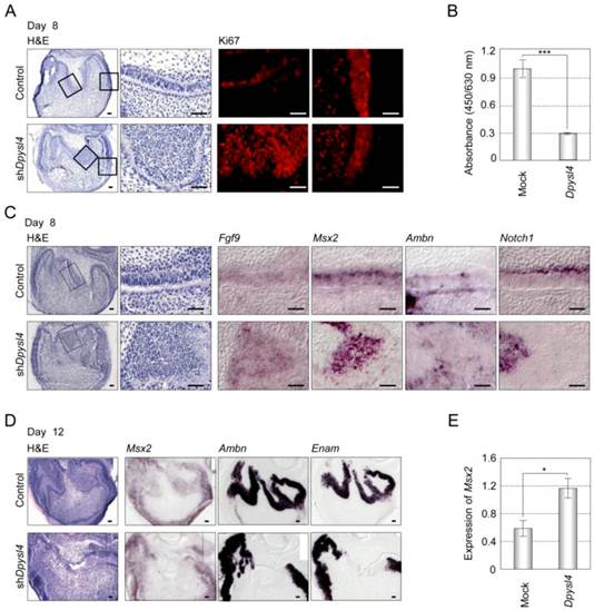 Int J Biol Sci Image