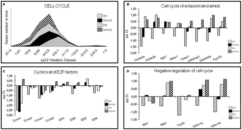 Int J Biol Sci Image